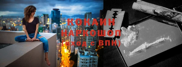 ПСИЛОЦИБИНОВЫЕ ГРИБЫ Ельня