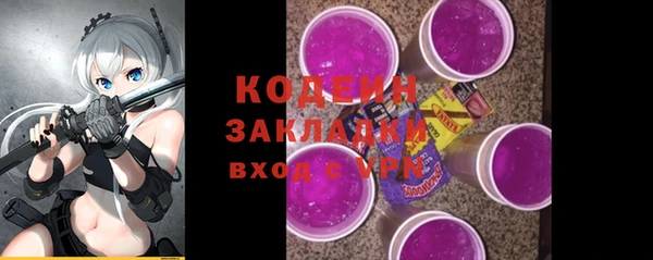 ПСИЛОЦИБИНОВЫЕ ГРИБЫ Ельня