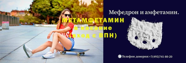 мет Ладушкин
