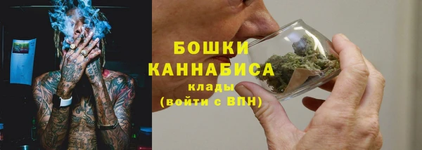 дурь Лабытнанги
