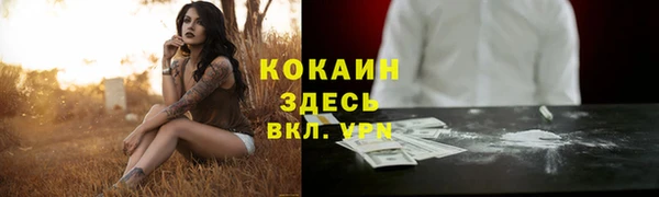 дмт Елизово