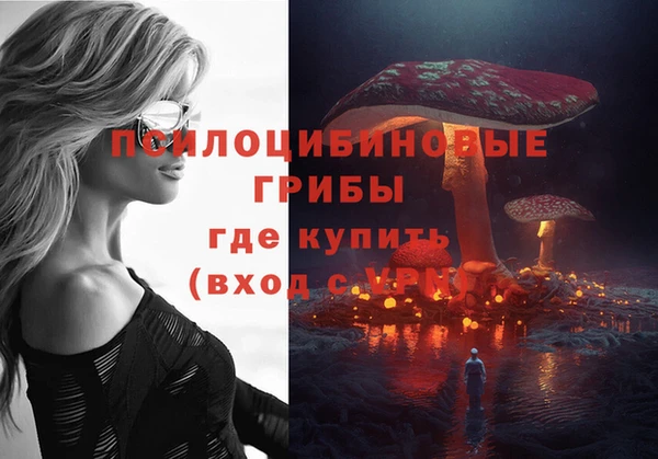 дмт Елабуга