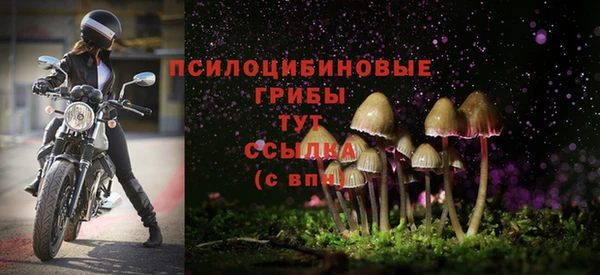 дмт Елабуга