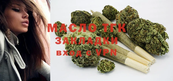 дмт Елабуга