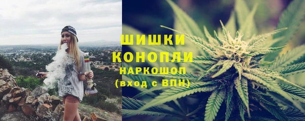 ПСИЛОЦИБИНОВЫЕ ГРИБЫ Ельня