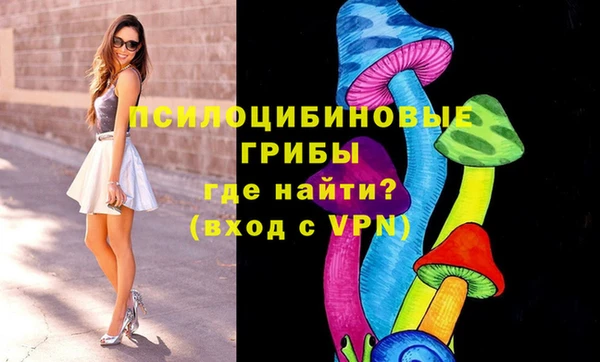 дурь Лабытнанги