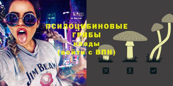 дмт Елизово