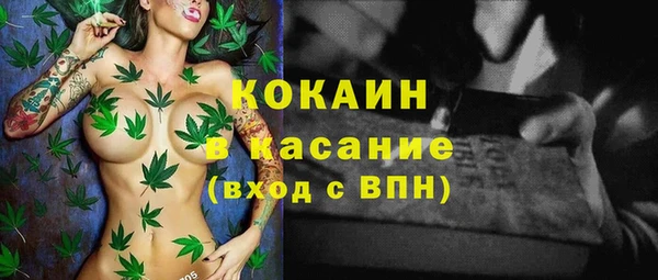 дмт Елабуга