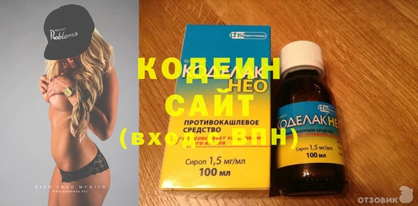 дмт Елизово