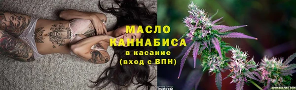 дмт Елабуга