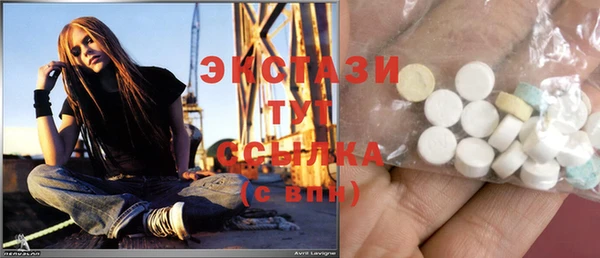 ПСИЛОЦИБИНОВЫЕ ГРИБЫ Ельня