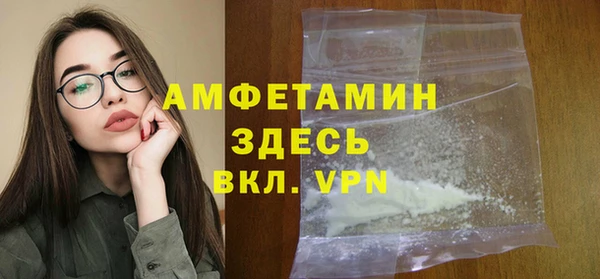 ПСИЛОЦИБИНОВЫЕ ГРИБЫ Ельня