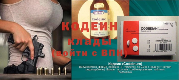 ПСИЛОЦИБИНОВЫЕ ГРИБЫ Ельня