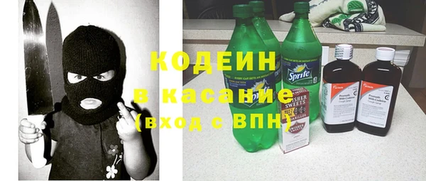 ПСИЛОЦИБИНОВЫЕ ГРИБЫ Ельня