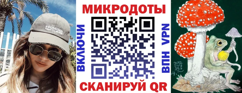 Псилоцибиновые грибы Psilocybe  Ряжск 